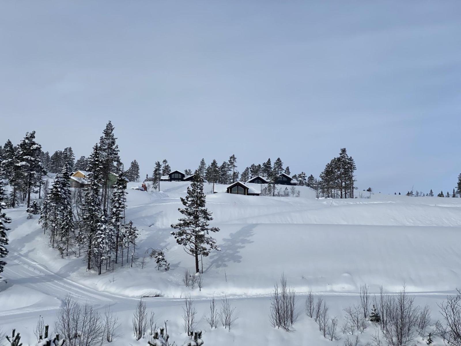 Nydelig Hytte Ved Voss Ski Og Tursenter Giljane 외부 사진